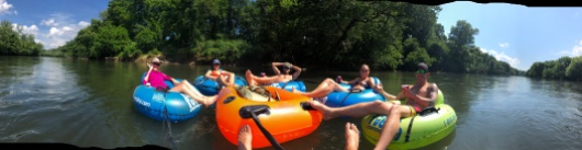 The humans once again left us behind and had fun. This time they floated down the French Broad River