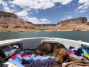 Taking a nap while boating on Lake Powell