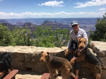 We took a day trip from Lake Powell to the North Rim of the Grand Canyon. It is over 1,000 feet higher on this side and you can see the snow capped mountains in Flagstaff in the background.