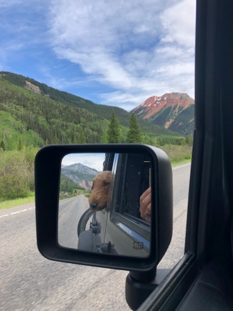 On the drive to Telluride. Great shot of Stache enjoying the fresh mountain air.